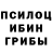 Галлюциногенные грибы Magic Shrooms Yosyf Kovalchuk