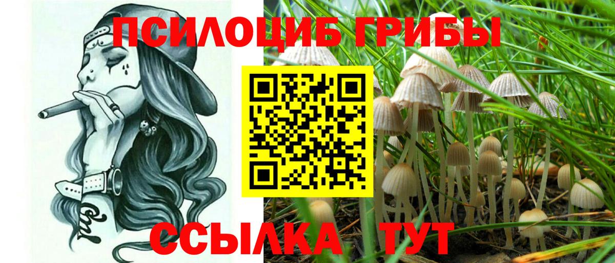 Биробиджан  Галлюциногенные грибы GOLDEN TEACHER  Вход с VPN 